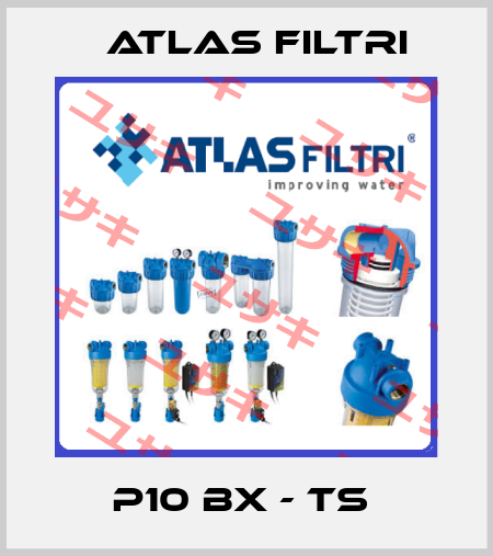 P10 BX - TS  Atlas Filtri