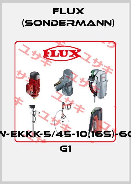 RM-PPsw-EKKK-5/45-10(16s)-60W/1-G5/4 G1 Flux (Sondermann)