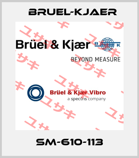 SM-610-113 Bruel-Kjaer