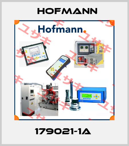 179021-1A  Hofmann