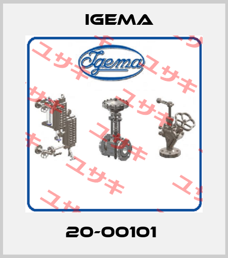 20-00101  Igema
