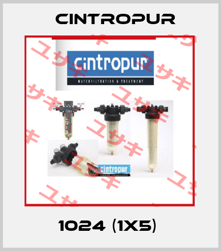 1024 (1x5)  Cintropur