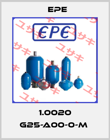 1.0020 G25-A00-0-M  Epe