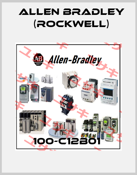 100-C12B01  Allen Bradley (Rockwell)