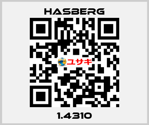 1.4310  Hasberg