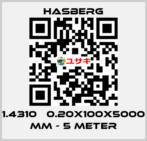 1.4310   0.20X100X5000 MM - 5 METER  Hasberg