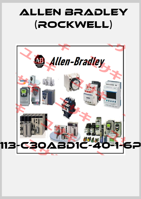 113-C30ABD1C-40-1-6P  Allen Bradley (Rockwell)