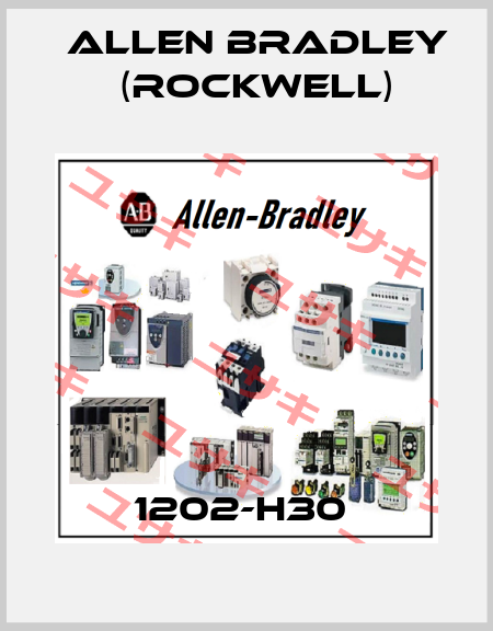 1202-H30  Allen Bradley (Rockwell)