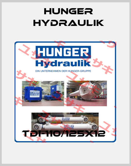 TDI-110/125x12  HUNGER Hydraulik