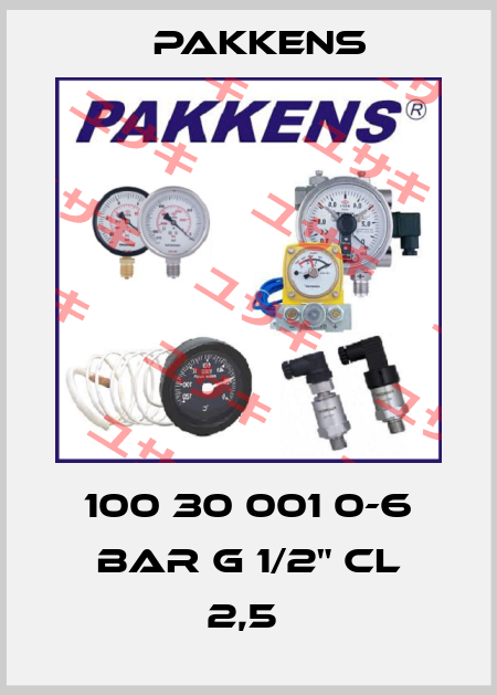 100 30 001 0-6 BAR G 1/2" CL 2,5  Pakkens