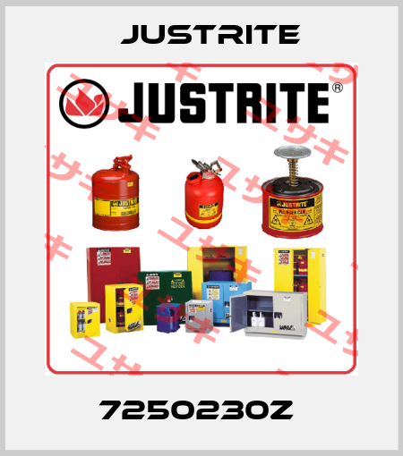 7250230Z  Justrite