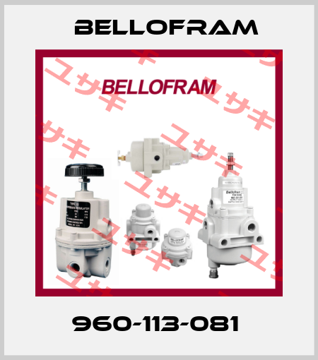 960-113-081  Bellofram