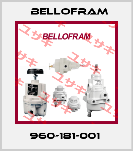 960-181-001  Bellofram
