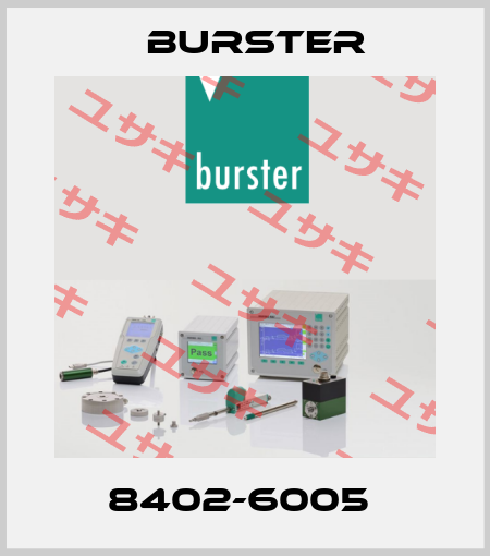 8402-6005  Burster