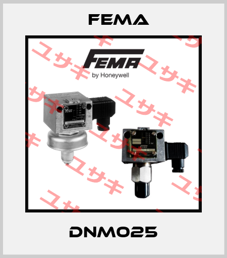 DNM025 FEMA