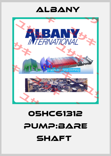 05HC61312 PUMP:BARE SHAFT  Albany