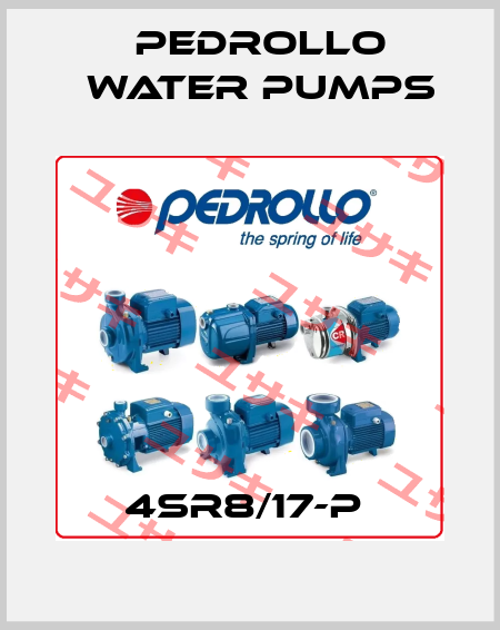 4SR8/17-P  Pedrollo Water Pumps