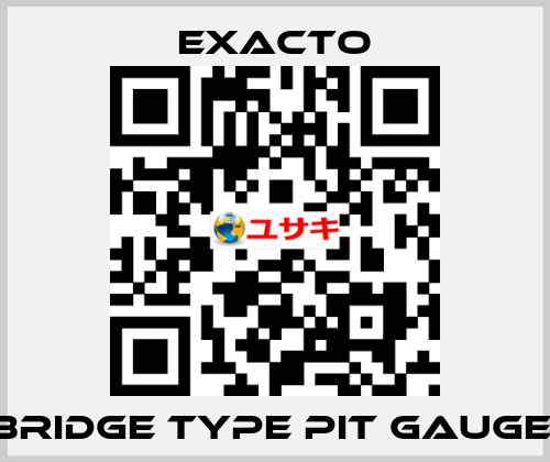 Bridge Type Pit Gauge  Exacto