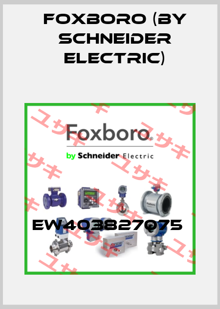 EW403827075  Foxboro (by Schneider Electric)