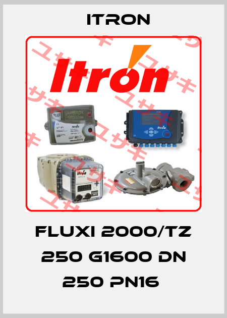 FLUXI 2000/TZ 250 G1600 DN 250 PN16  Itron