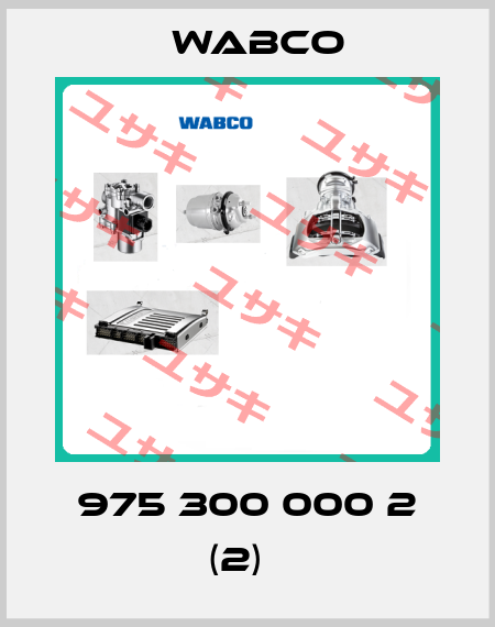 975 300 000 2 (2)   Wabco
