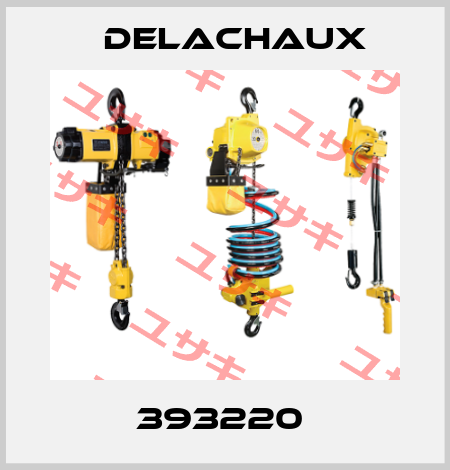 393220  Delachaux