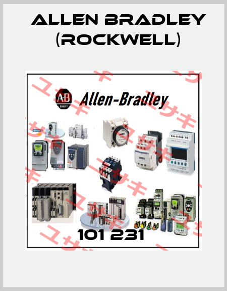 101 231  Allen Bradley (Rockwell)