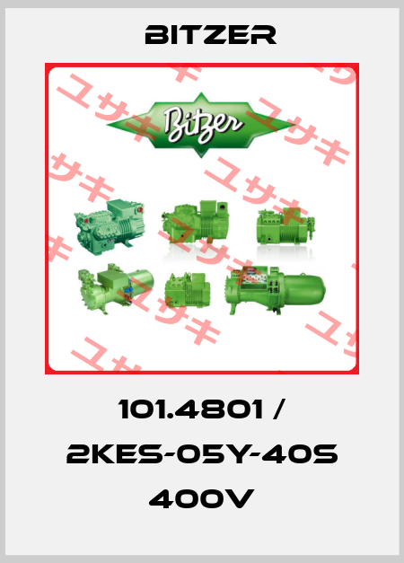 101.4801 / 2KES-05Y-40S 400V Bitzer