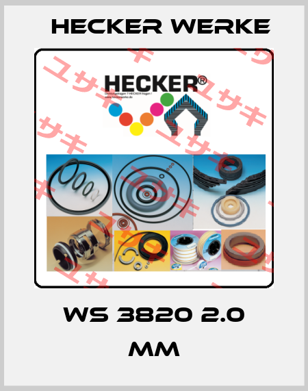 WS 3820 100-Pack  Hecker Werke