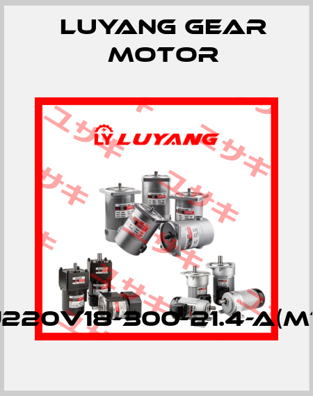 J220V18-300-21.4-A(M1) Luyang Gear Motor