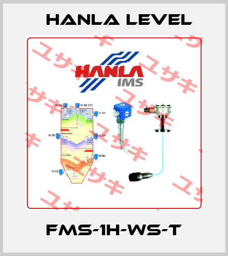 FMS-1H-WS-T HANLA LEVEL