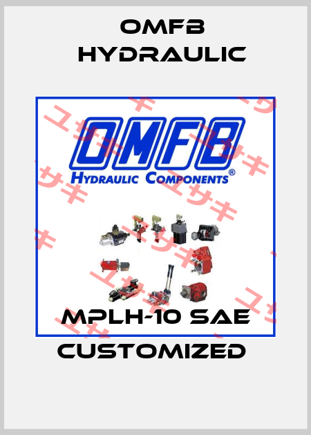 MPLH-10 SAE customized  OMFB Hydraulic