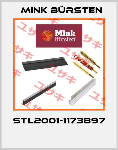 STL2001-1173897  Mink Bürsten