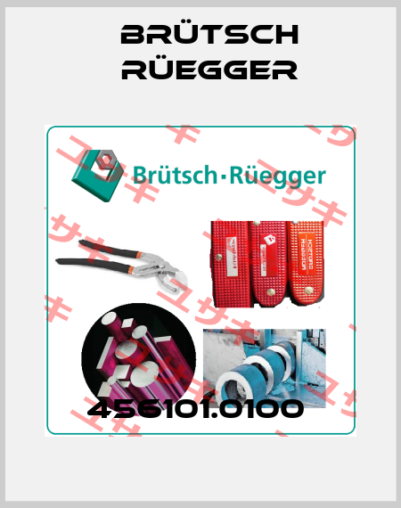 456101.0100  Brütsch Rüegger