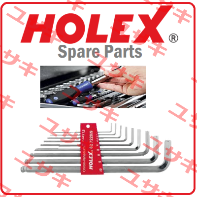 613960 19  Holex