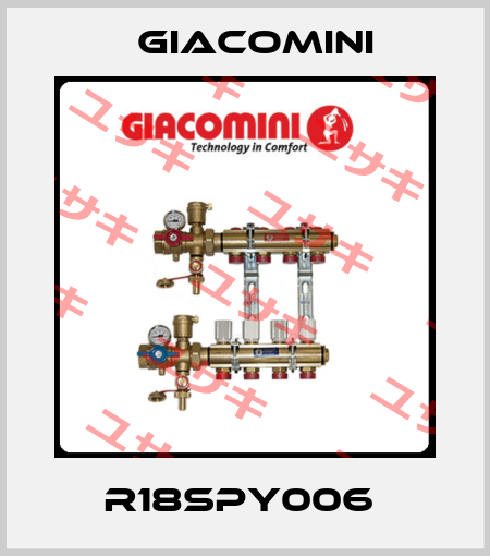 R18SPY006  Giacomini