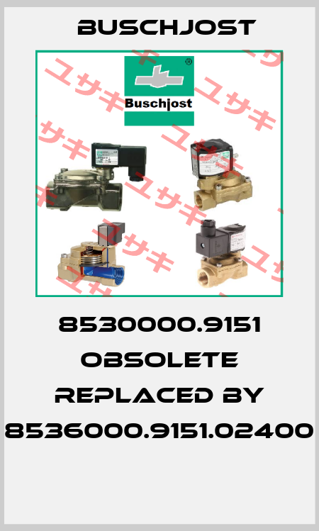 8530000.9151 obsolete replaced by 8536000.9151.02400  Buschjost