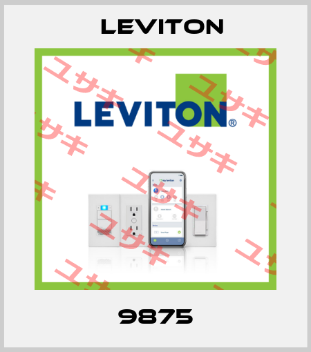 9875 Leviton