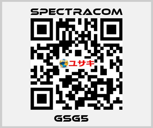 GSG5　  SPECTRACOM