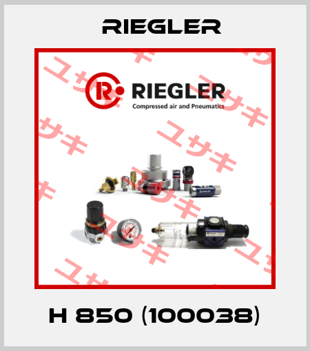 H 850 (100038) Riegler