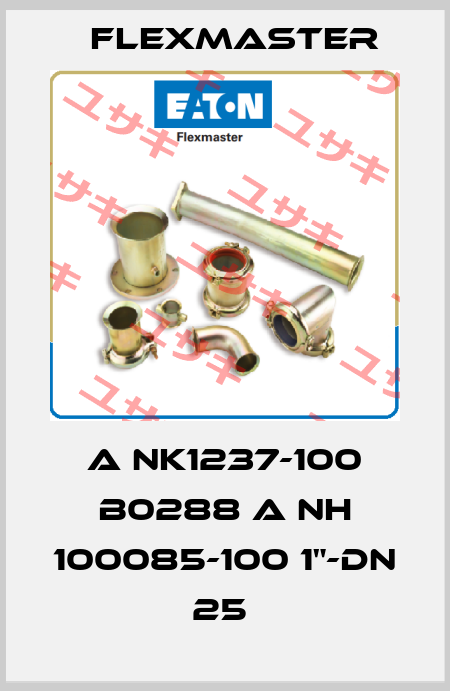 A NK1237-100 B0288 A NH 100085-100 1"-DN 25  FLEXMASTER