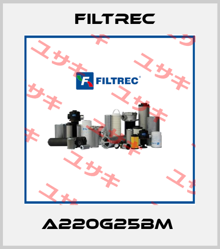 A220G25BM  Filtrec