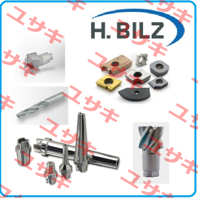 A240301 Hermann Bilz