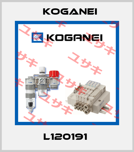L120191  Koganei