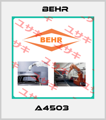 A4503  Behr