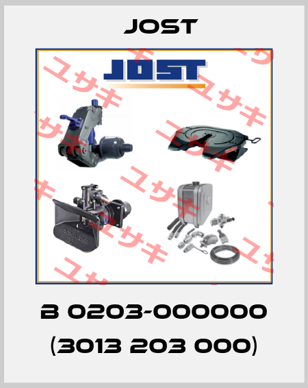 B 0203-000000 (3013 203 000) Jost