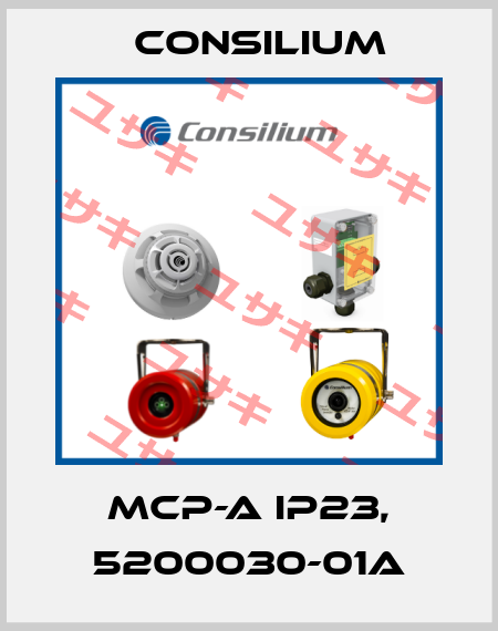 MCP-A IP23, 5200030-01A Consilium