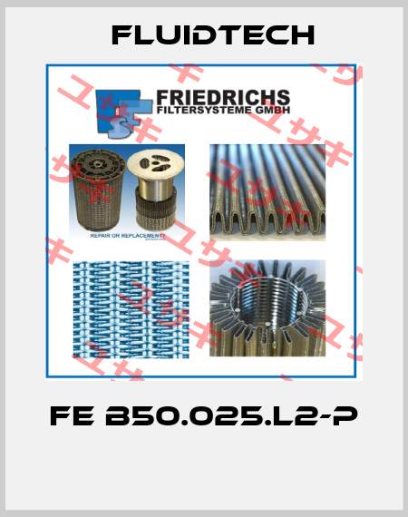FE B50.025.L2-P  Fluidtech