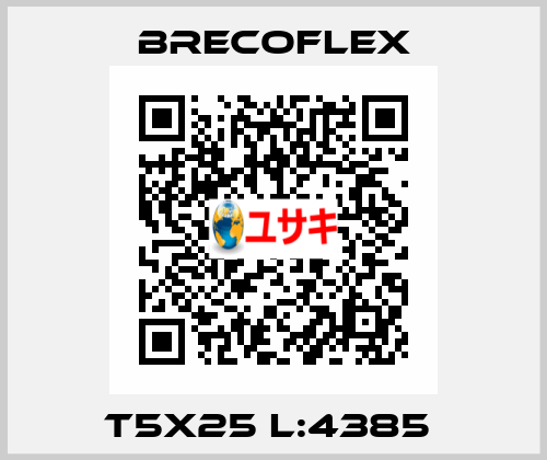 T5X25 L:4385  Brecoflex