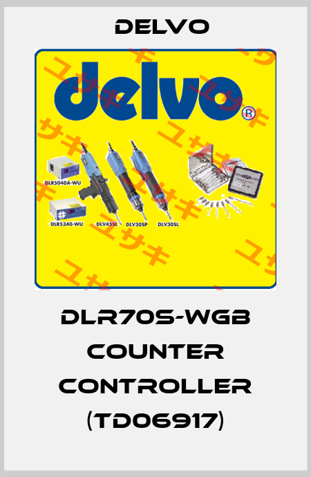 DLR70S-WGB Counter Controller (TD06917) Delvo